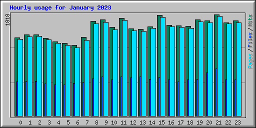 Hourly usage for January 2023