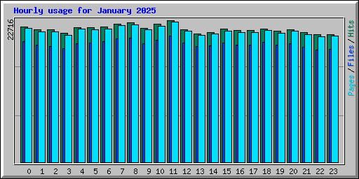 Hourly usage for January 2025