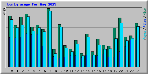 Hourly usage for May 2025