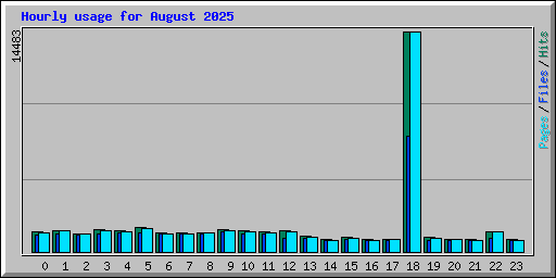Hourly usage for August 2025
