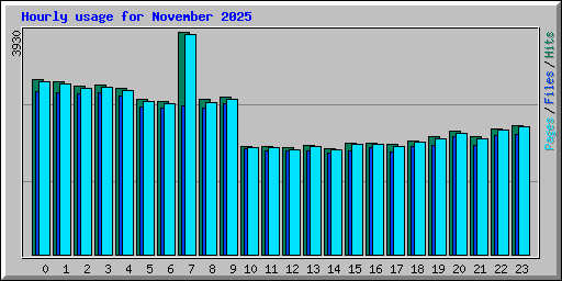Hourly usage for November 2025