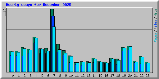 Hourly usage for December 2025